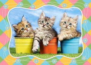 Puzzle Castorland 60 dílků - kočičky v květináčích