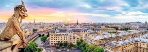 Puzzle TREFL 1000 dílků - panorama - Výhled z Notre Dame 29029