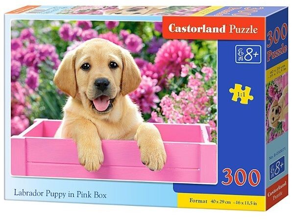 Puzzle Castorland 300 dílků - 030071 - Labrador v růžovém boxu