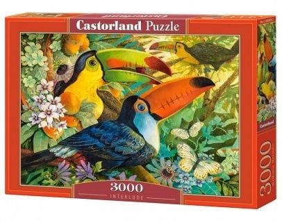 Puzzle Castorland 3000 dílků - Tukani 300433