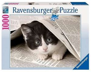 1000 dílků  Zvědavé koťe  -   puzzle Ravensburger 192564