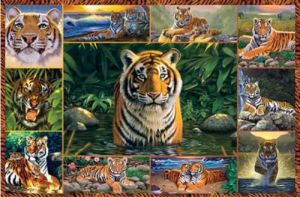 5000 dílků Tygři -   puzzle Ravensburger