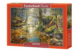 Puzzle Castorland 2000 dílků  Podzimní les   200757
