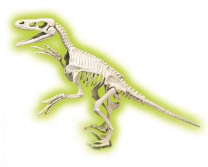 Clementoni zkameněliny - Velociraptor 50639