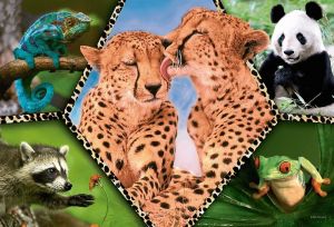 Puzzle Trefl 100 dílků - Krása přírody - Animal planet 16424