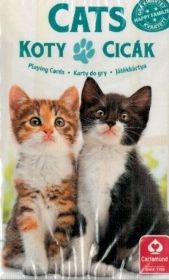 Kvarteto - karty  - Kočky - kočičky   - Cartamundi 