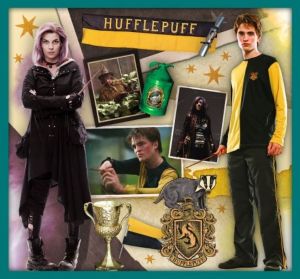Trefl puzzle 10v1 - Harry Potter 90392