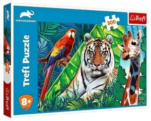 TREFL Puzzle  300 dílků - Koláž - Neuvěřitelná zvířata - Animal Planet  23007