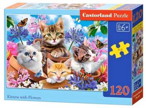 Castorland  puzzle 120 dílků - Kočky v květinách 13524