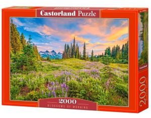 Castorland  puzzle 2000 dílků  - Horská mýtina Blossom of Morning  200863